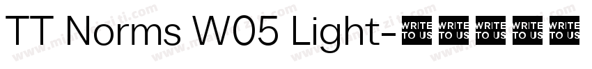 TT Norms W05 Light字体转换
